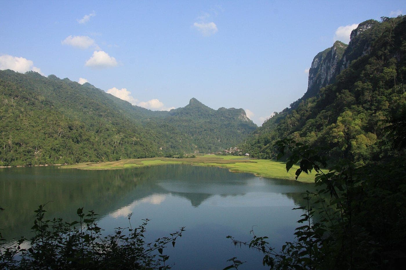 Pac Ngoi rice field