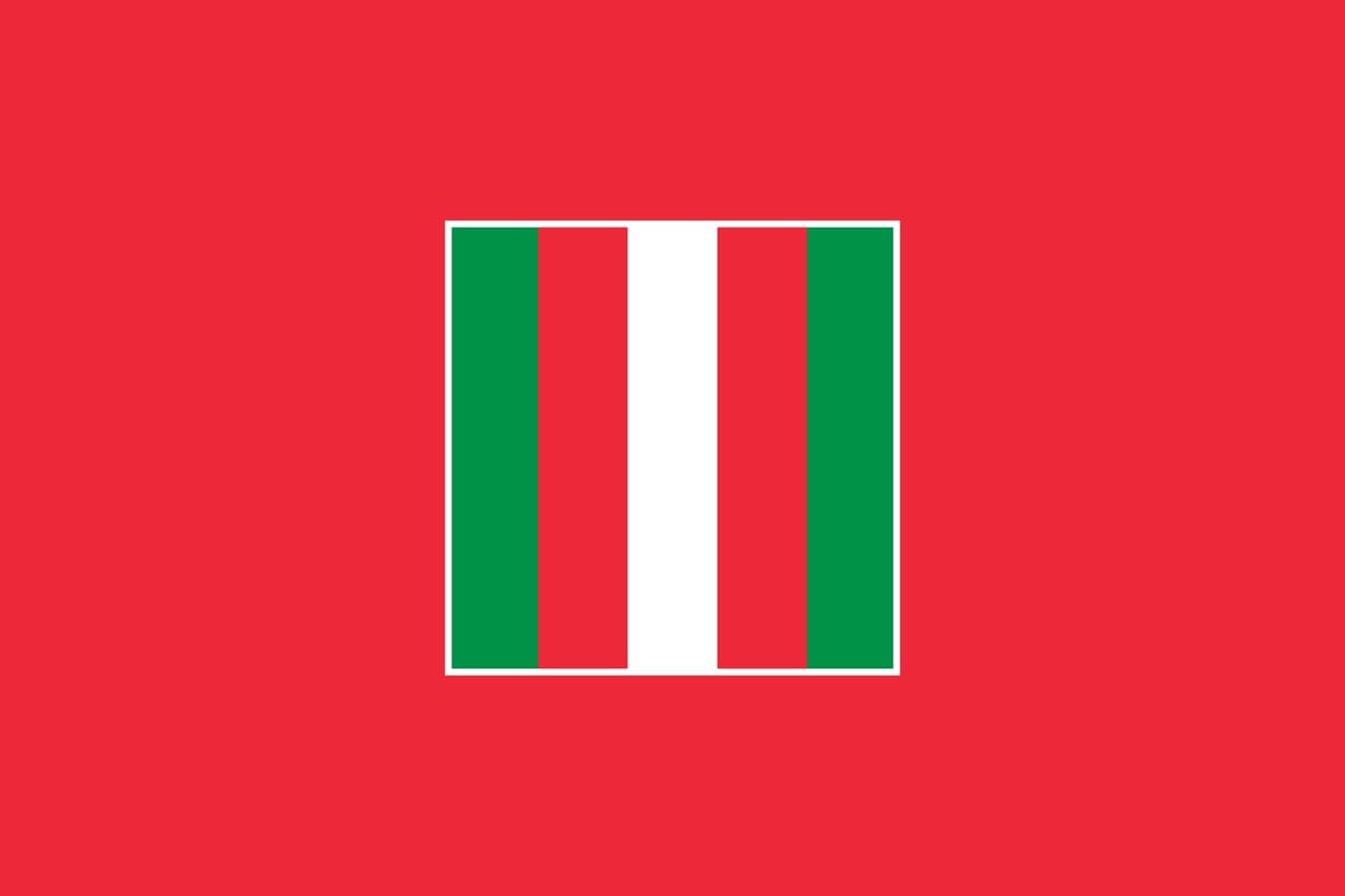 Flag of the Tay people (1947-1954)