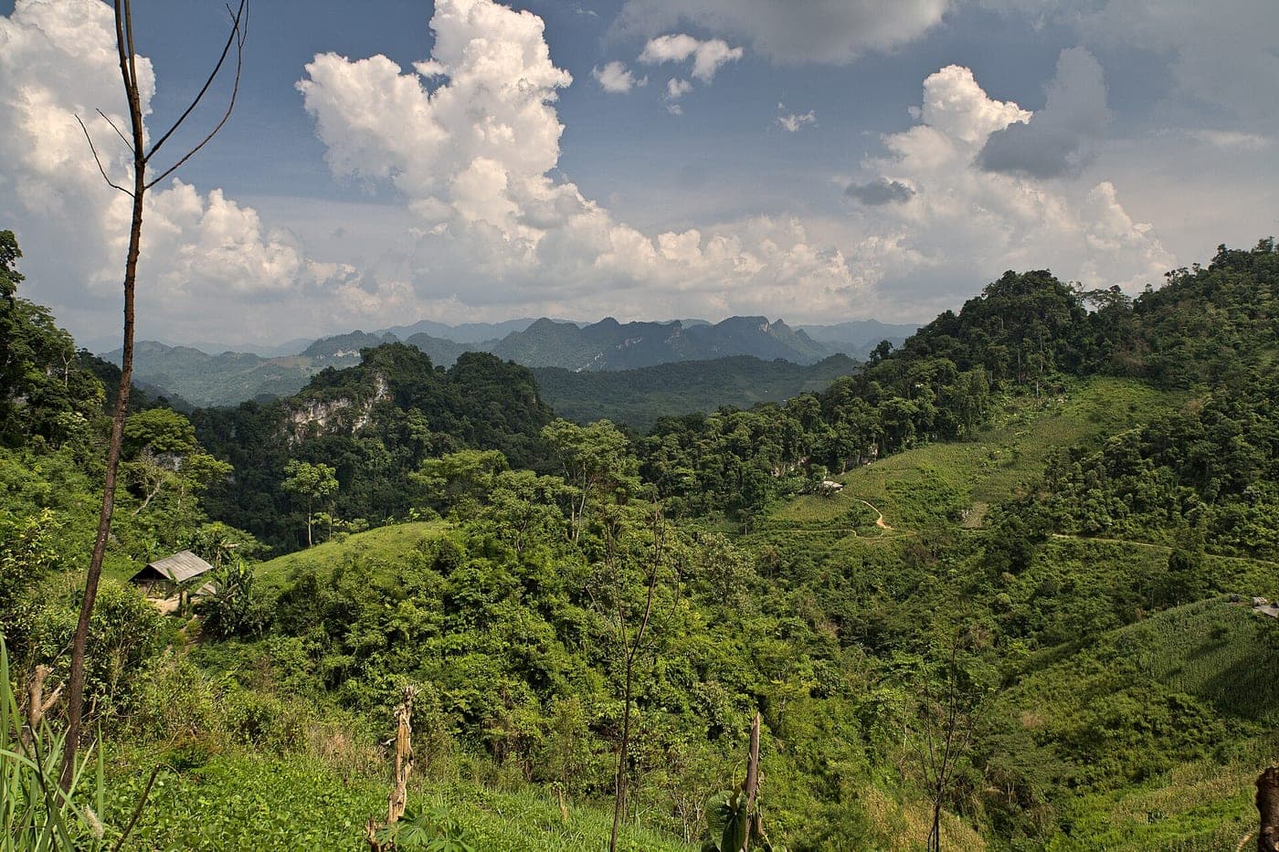 Ba Be National Park I