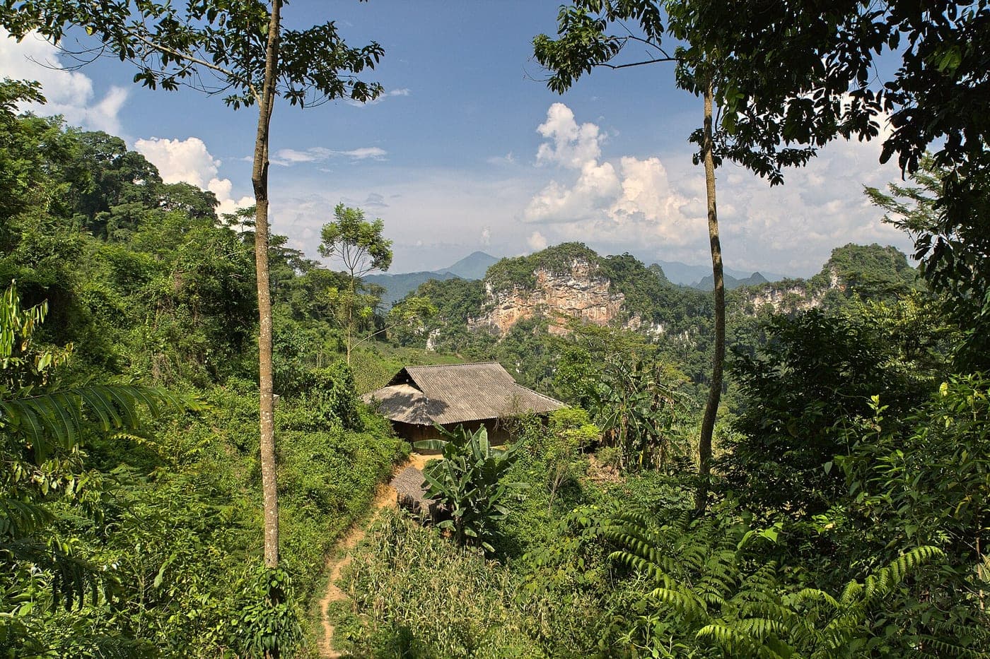 Ba Be National Park II