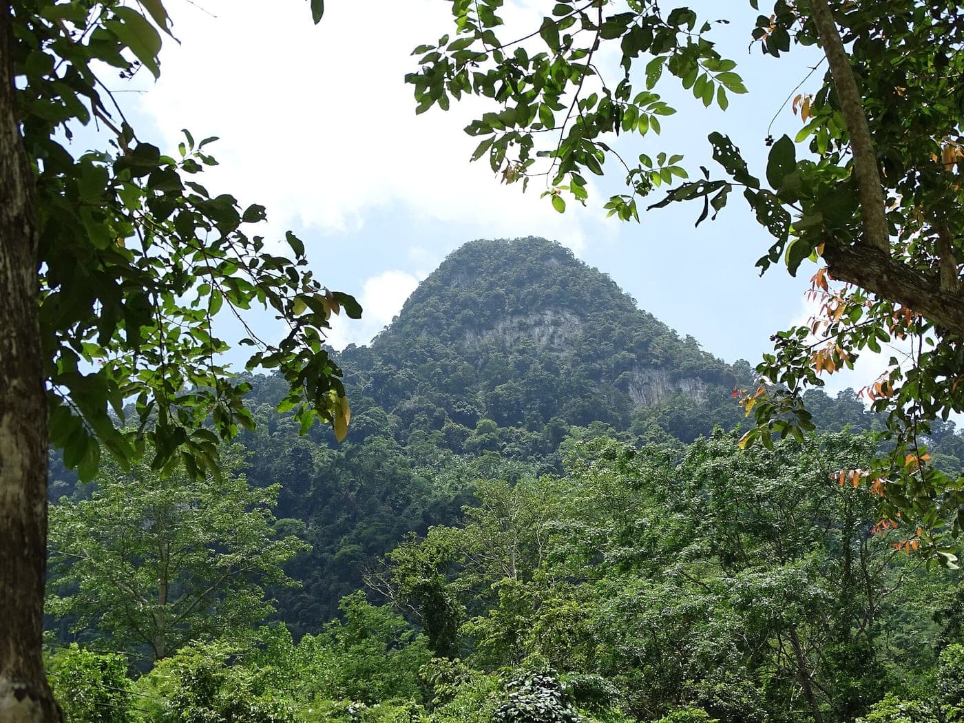 Scenery around Ba Be Lake - Ba Be - Vietnam - 01 (48096836003)