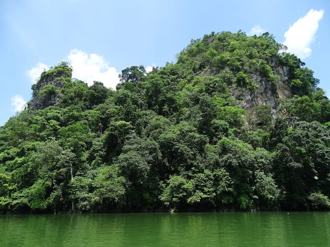 Scenery at Ba Be Lake - Ba Be National Park - Vietnam - 04 (48102279476)