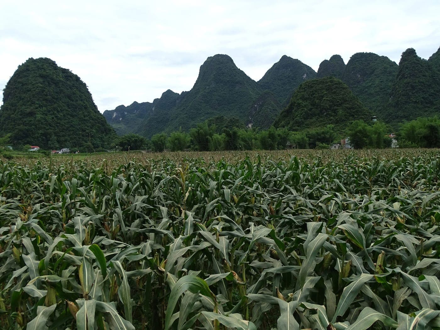 Scenery around Nguom Ngao Cave - Cao Bang Province - Vietnam - 01 (48119865242)